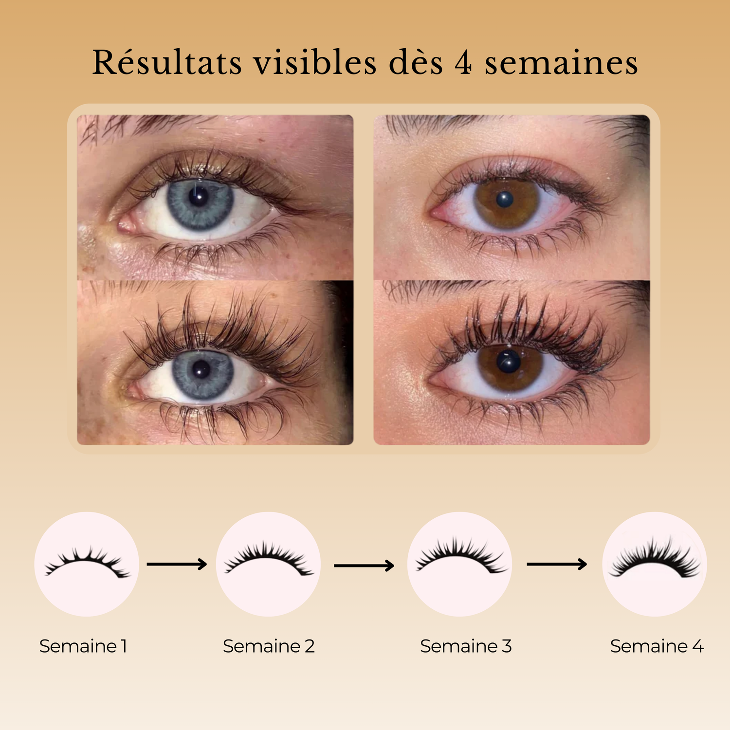 Sérum pour Cils Olerya™